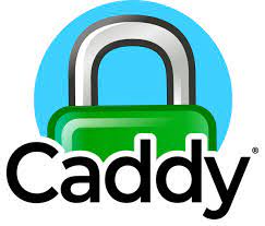 [Caddy](https://github.com/caddyserver/caddy)