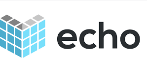 [Echo](https://github.com/labstack/echo)